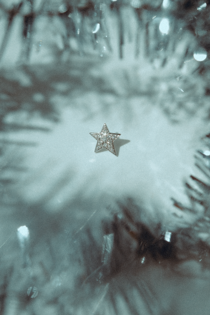 Celeste star stud - white gold