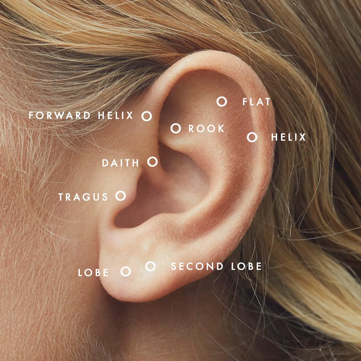 Daith in 14k recycled gold.