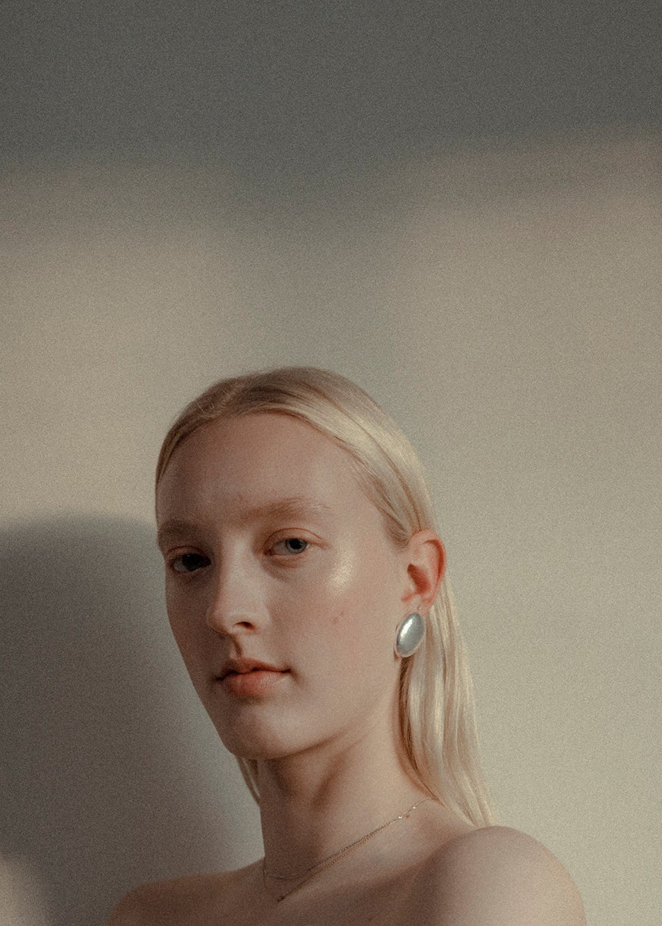 MODULE EARRINGS - SILVER